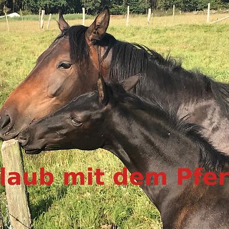 Ferienwohnung Hardtmuehle Momberg Exterior foto