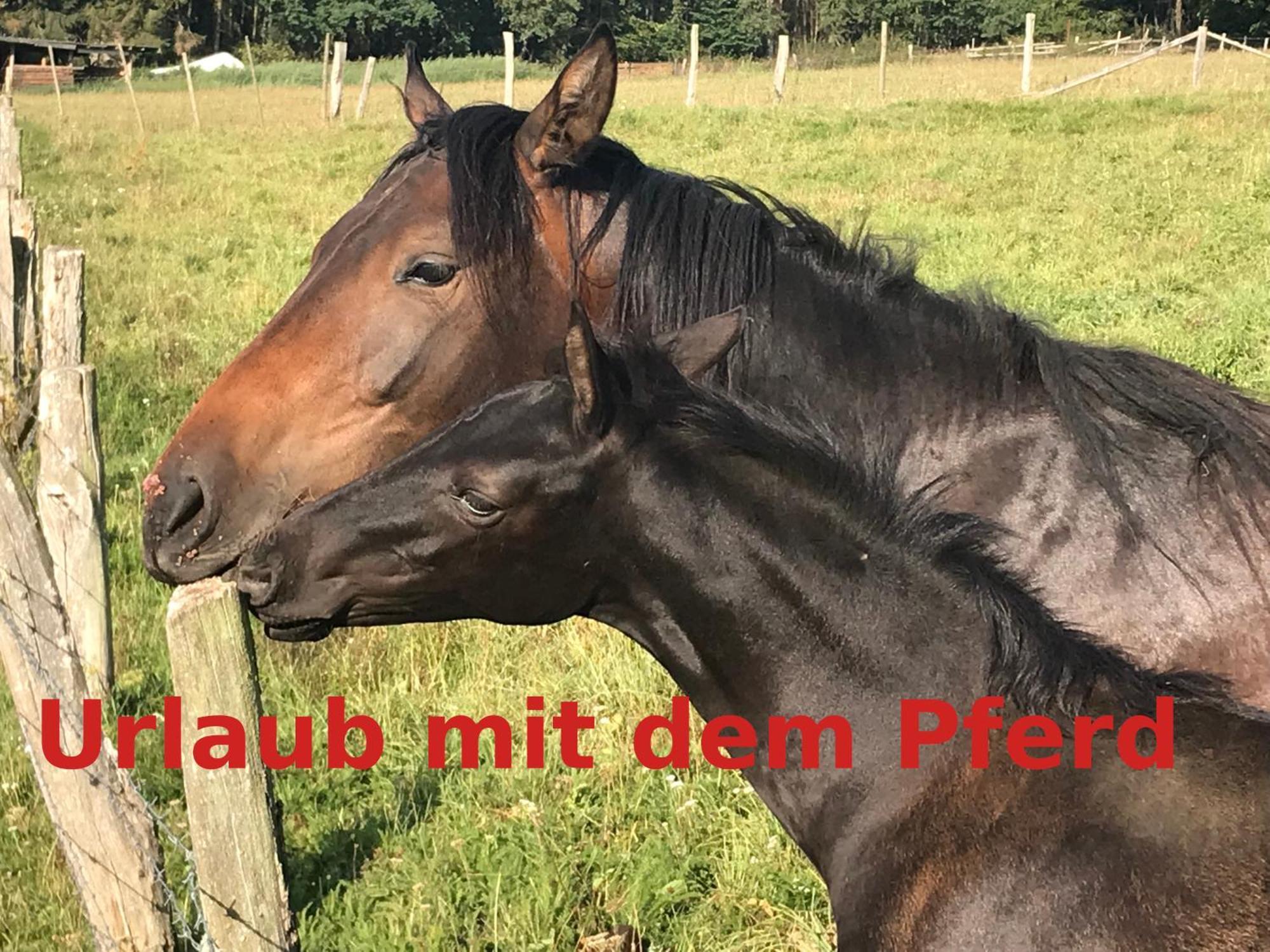 Ferienwohnung Hardtmuehle Momberg Exterior foto